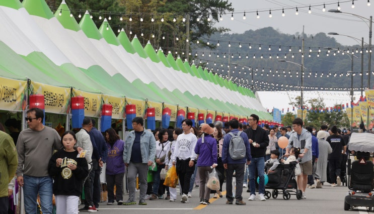 2024년 하반기도 꿀잼축제가 청주를 물들인다