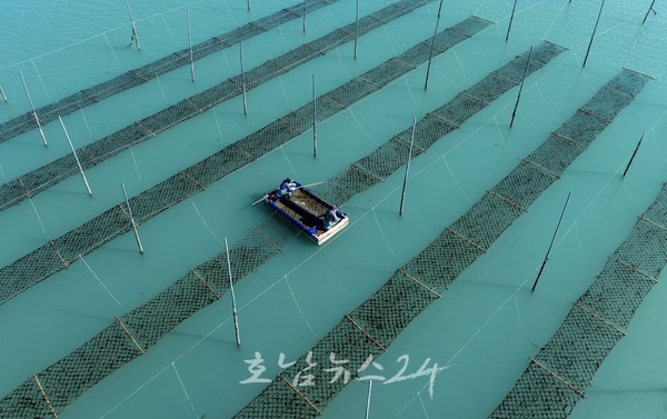  해조류양식업·어선어업 호조로 전남 고소득어가 역대 최대