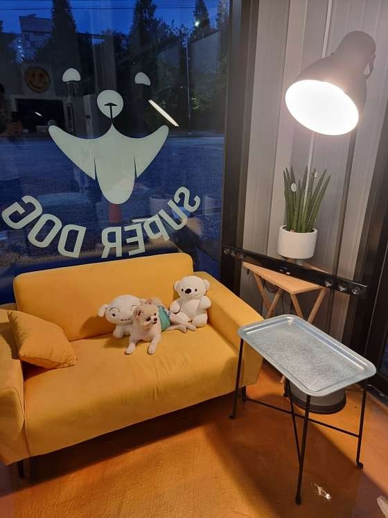 슈퍼독