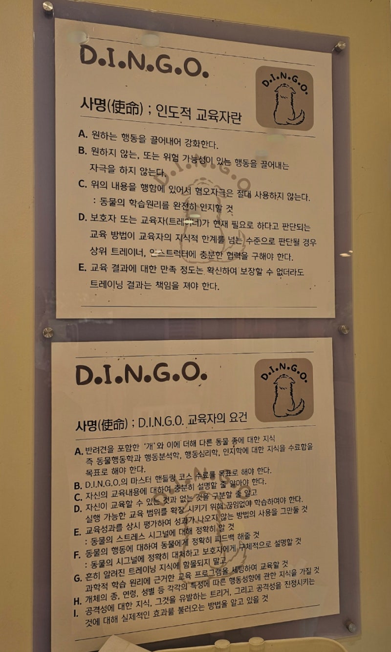 사진 2