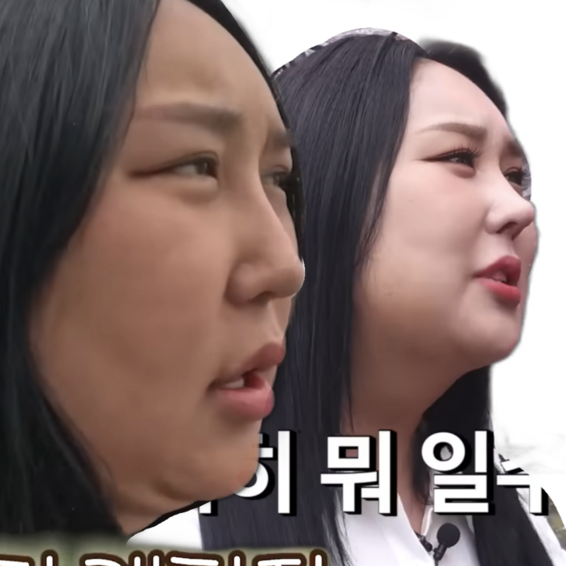 풍자 코 성형 재수술 비포 / 애프터 달라진 옆태! 병원 어딜까요?