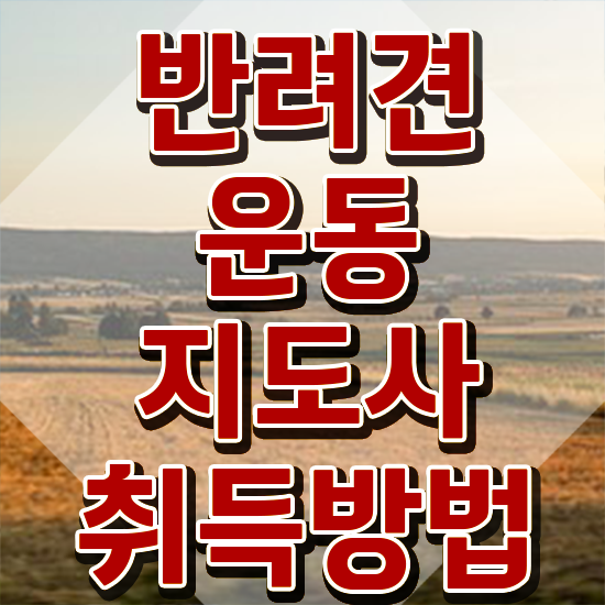  반려견운동지도사 인강 , 반려견운동지도사 쉽고 빠르게 취득했던 후기