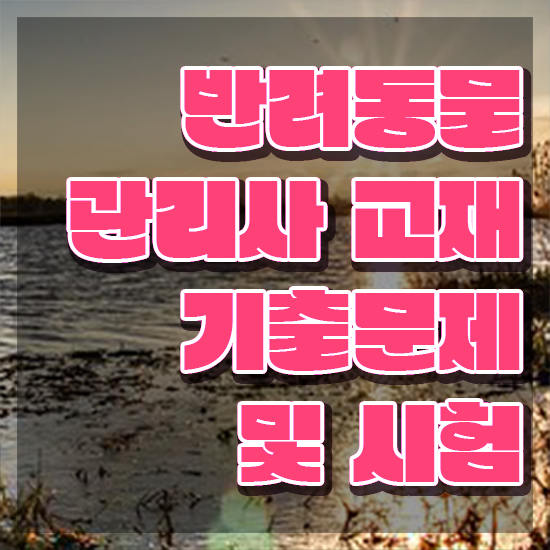  반려동물관리사자격증 , 반려동물관리사 자격증 독학으로 준비한 과정 알아볼게요