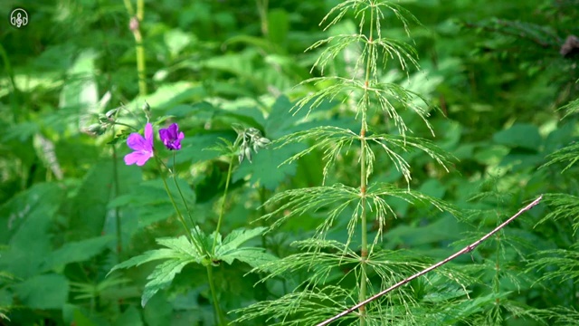  전주 사회복지사대학원 ~ 사회복지사2급 조건이 안돼도 학점은행제로 편하게