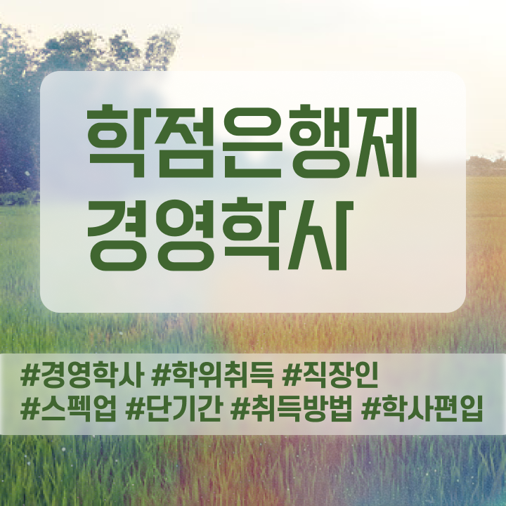  경영학 인강 , 경영학 학점은행제로 쉽게 준비했던 방법