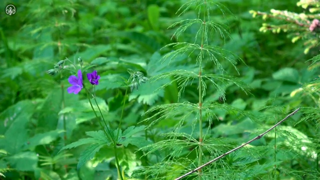  아동교육지도사 응시자격 , 아동교육지도사 자격증 간단하게 취득한 방법 여기만 보세요