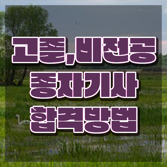  종자기사 시험 후기 종자기사 시험응시자격 온라인 수업으로 5달만에 성공한 과정