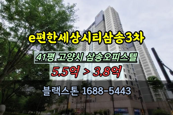  e편한세상시티삼송3차 경매 삼송오피스텔 41평 급매