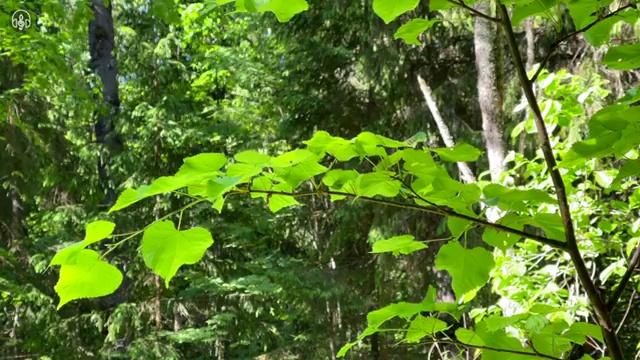  부동산개발 회사 , 부동산권리분석사자격증 취득방법 및 주목받는 이유