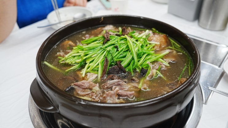  델피노cc 맛집 창바위식당 능이오리백숙, 능이옻오리백숙 추천