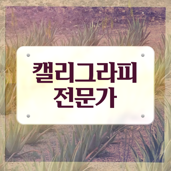  캘리그라피 달력 , 캘리그라피전문가 자격증 직장인도 쉽게 시험준비 , 고용 전망
