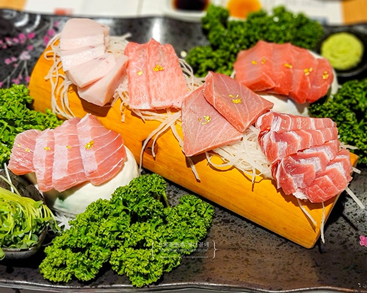  광주 상무지구 참치회 맛집 마륵동 광주참치