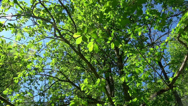  40대여자자격증 , 부동산권리분석사 인강만 듣고 독학으로 직장인도 손쉽게 준비한 후기