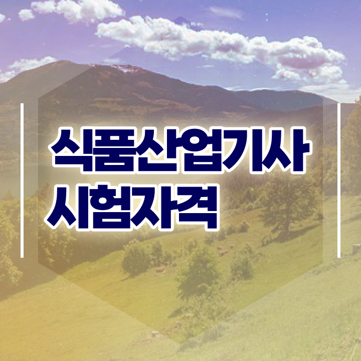  식품산업기사 필기합격률 식품산업기사 시험응시자격 온라인으로 5달만에 준비한 팁
