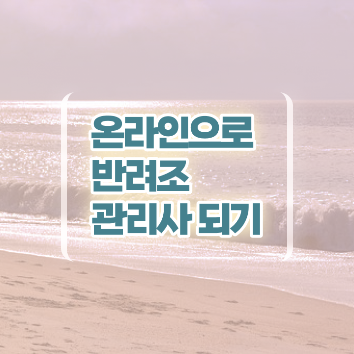  왕관 앵무새 키우기 , 반려조관리사 자격증 취득한 과정 여기서 확인하세요