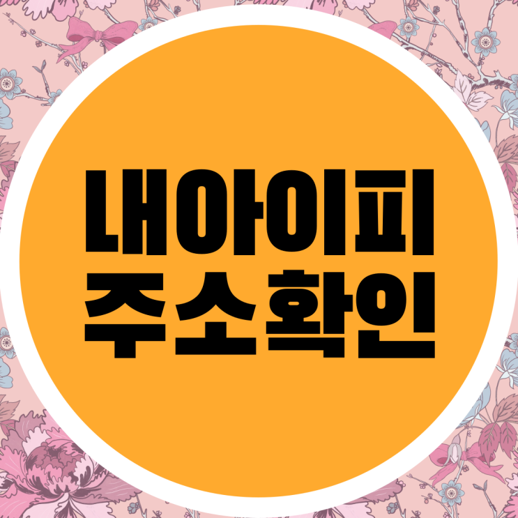  내 아이피 주소 확인하는 방법 가이드