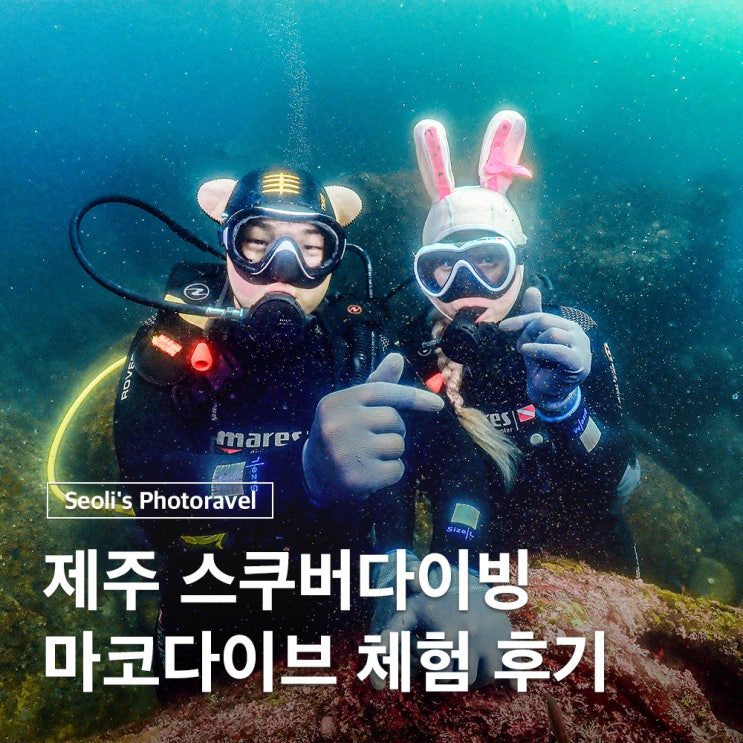  제주도 체험다이빙 스킨스쿠버 마코다이브 후기