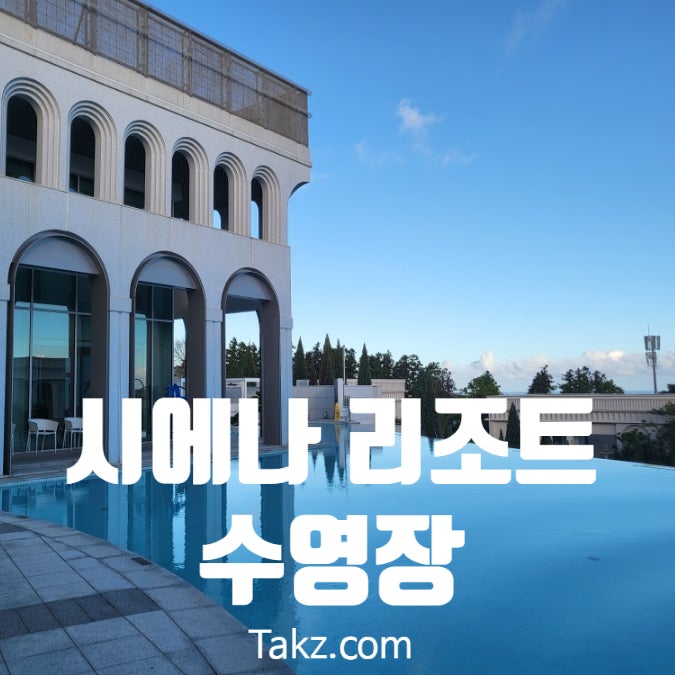  제주도 더 시에나 리조트 수영장 후기
