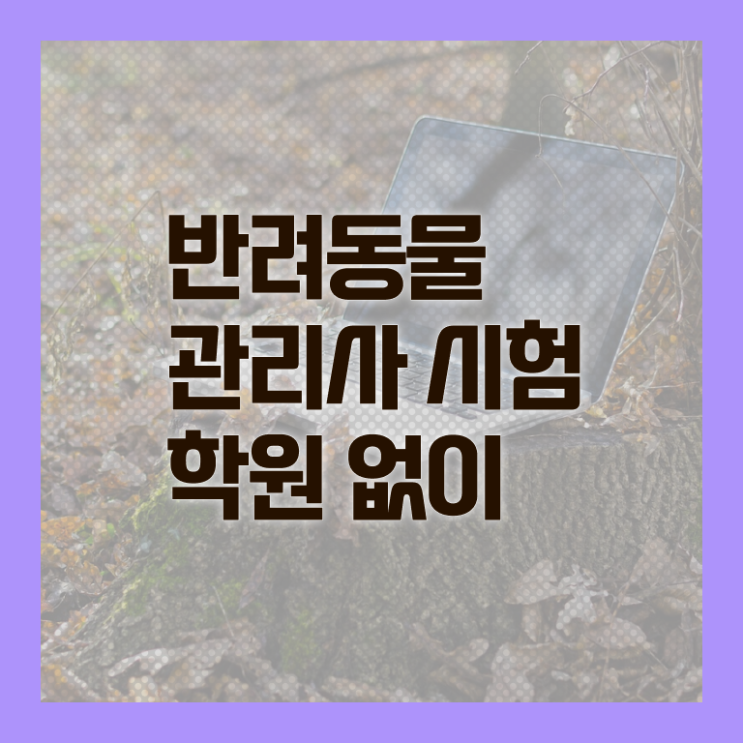  반려동물식품관리사 , 반려동물관리사 자격증 온라인으로 간단히 취득한 방법 및 온라인 무료강의