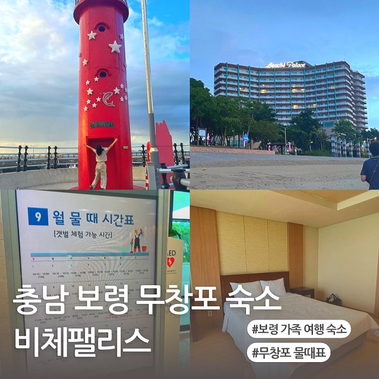  충남 보령 가족 여행 숙소 무창포 비체팰리스 27평 후기 + 신비의 바닷길 물때표