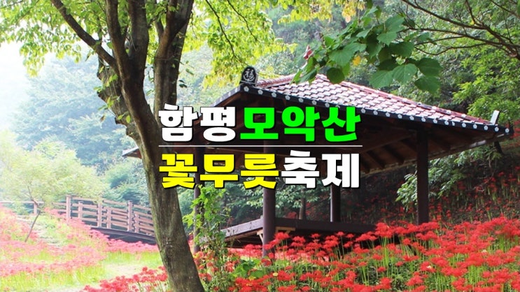 전남 함평여행 가볼만한곳 · 9월꽃축제 함평모악산 꽃무릇축제 기본정보 (용천사 상사화축제) 전남 함평여행 가볼만한곳 · 9월꽃축제 함평모악산 꽃무릇축제 기본정보 (용천사 상사화축제)