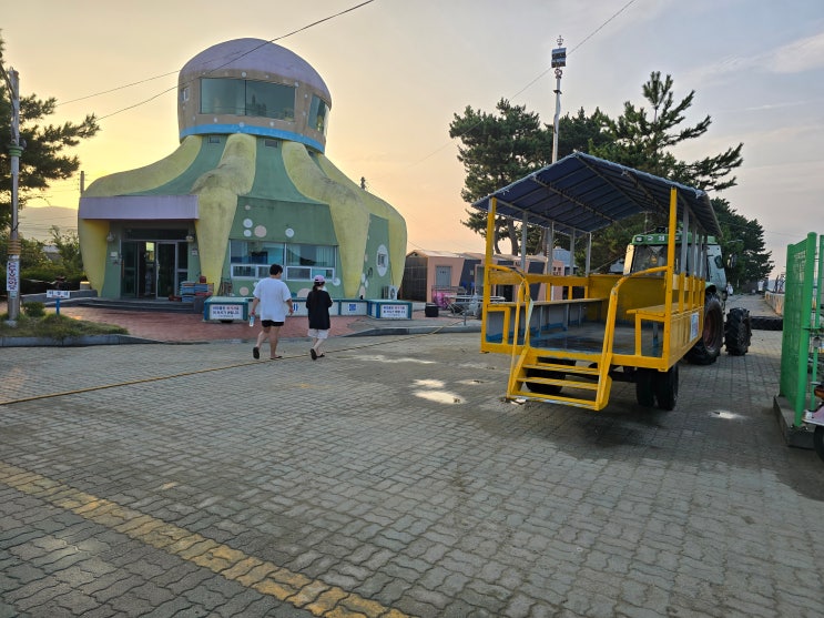  [군산여행] 선도리 갯벌마을