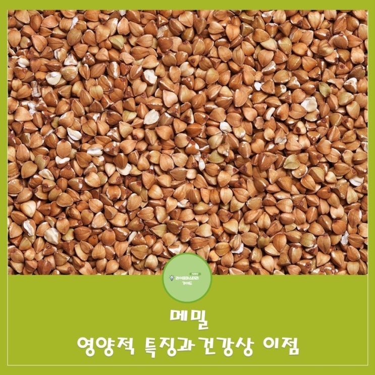  메밀:글루텐에 민감한 사람들에게 안전한 대안|풍부한 비타민B군(티아민|리보플라빈|니아신)함유