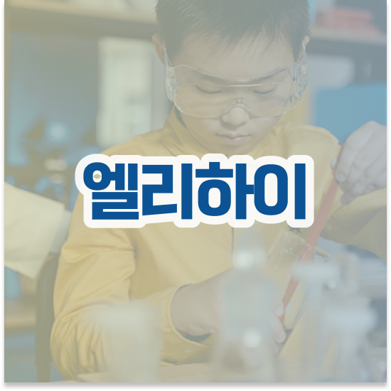  초등 5학년 초등수학 연산문제집 엘리하이로 홈스쿨링 하기