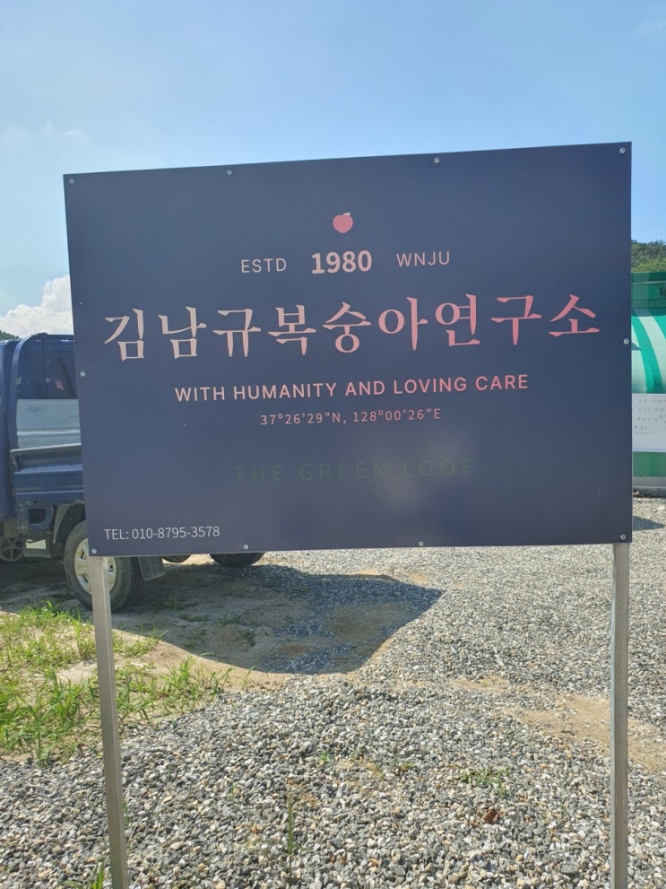  [더이상 맛있는 복숭아는 없다] 김남규복숭아연구소