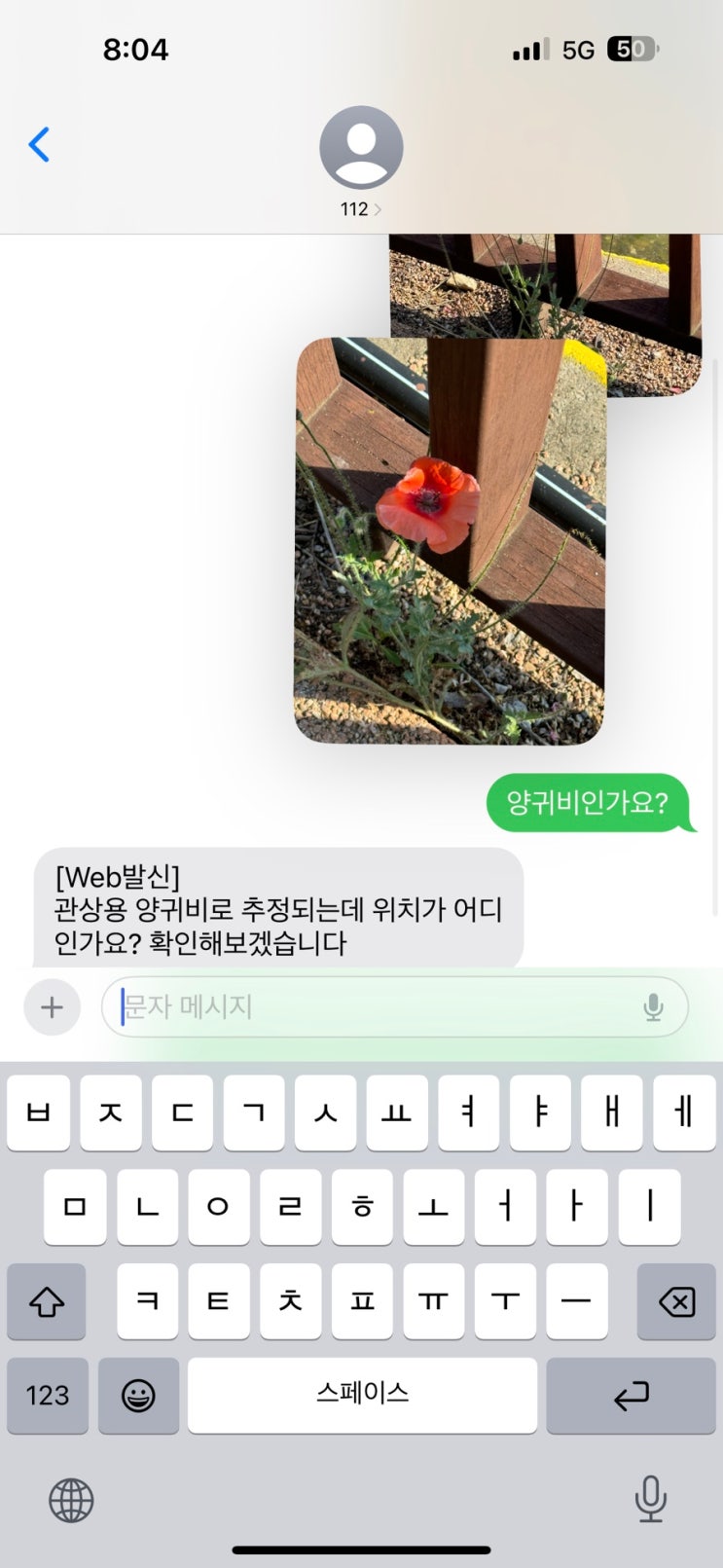  야생 양귀비 경찰 신고 후기