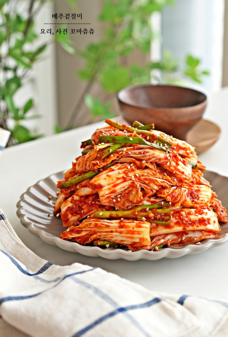 알배추 겉절이 알배기 배추겉절이 만드는 법 레시피 양념 알배추요리