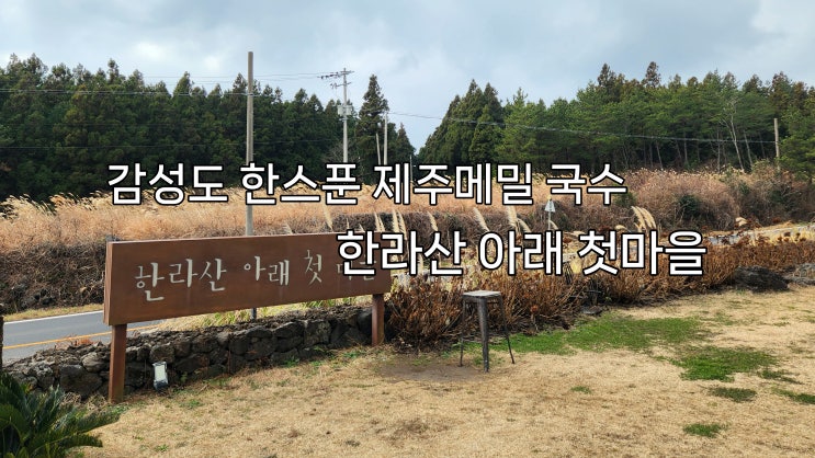  감성도 한 스푼 메밀국수 한라산 아래 첫 마을 / 제주