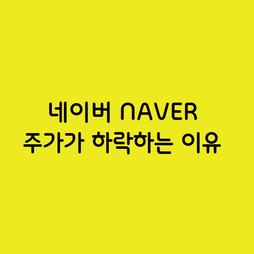  네이버 NAVER 주가가 하락하는 이유