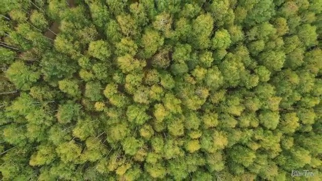  단독주택리모델링 업체별 비교견적 비법 , 라티크 가 정리해 봤어요 (무료 서비스)