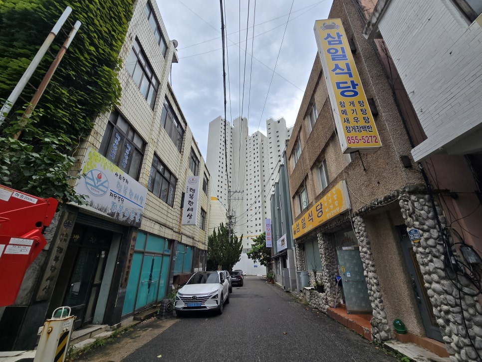 삼일식당 사진 3