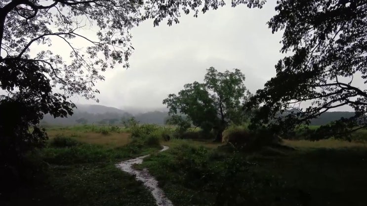 도로교통사고감정사 연봉 , 자격증 취득 노하우
