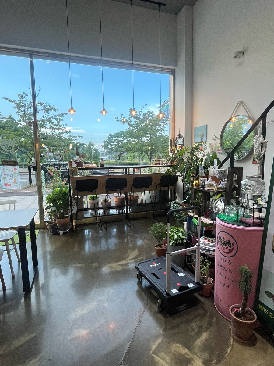 제이풀 사진 7