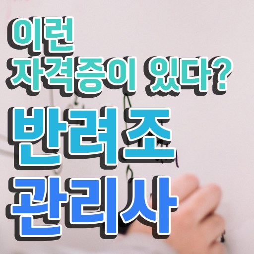  퀘이커 앵무새 가격 , 반려조관리사 자격증 온라인 교육으로 취득했던 후기 , 활용 방법