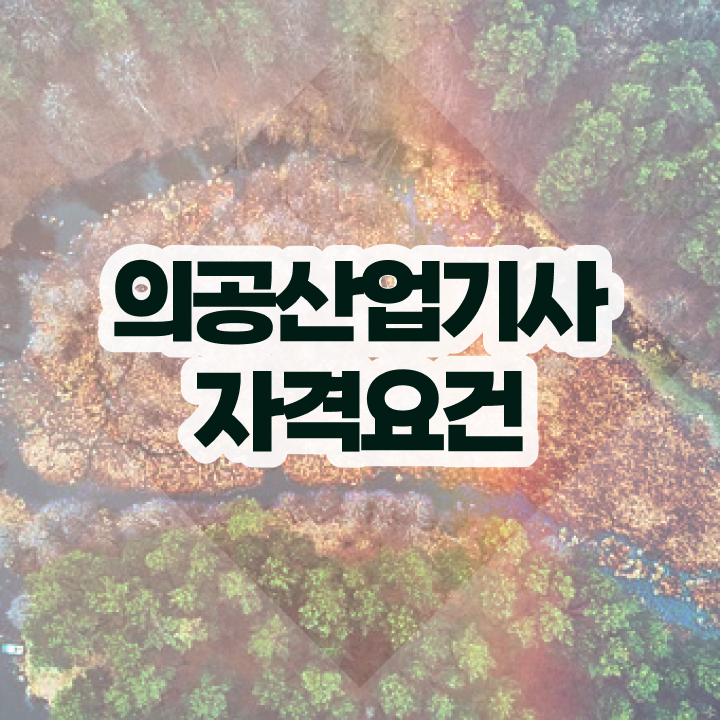  의공산업기사 자격요건 인강으로 간단하게 성공한 과정