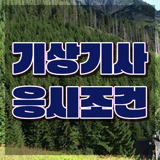  기상기사 자격조건 기상기사 자격요건 학점은행제로 5개월 만에 완료한 노하우