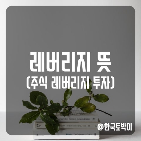  레버리지 뜻 (주식 레버리지 투자)