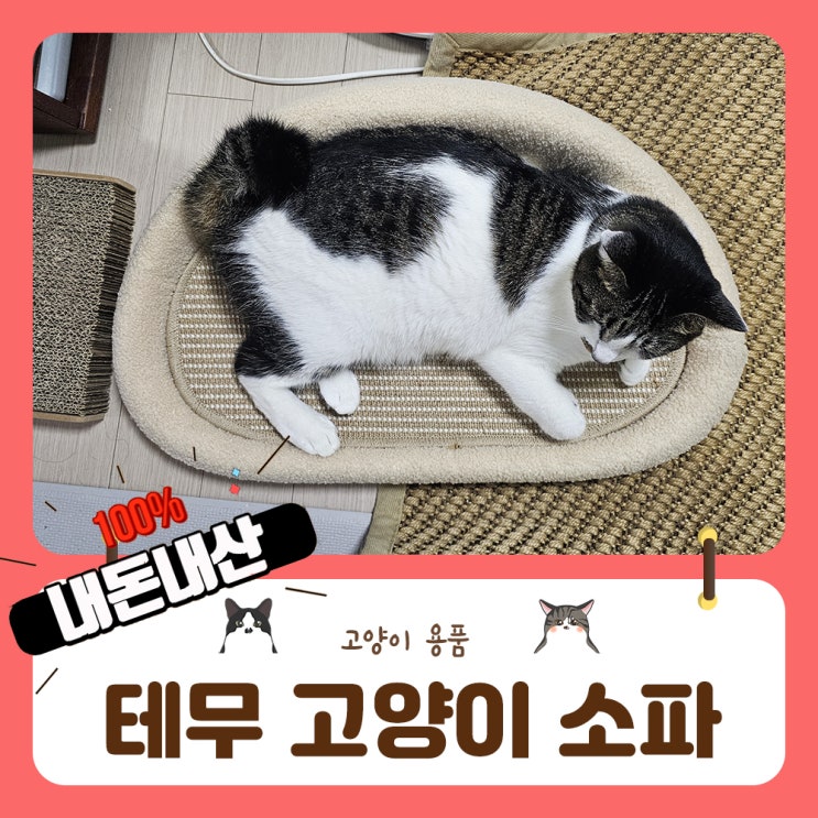  테무 고양이 소파 또 사보았습니다.