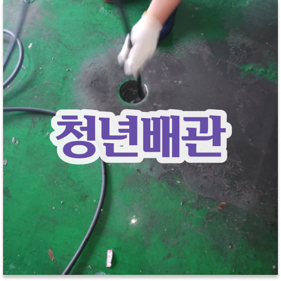  성동구 용답동 청년배관 화장실 하수구 막힘 비용 전문가 조언