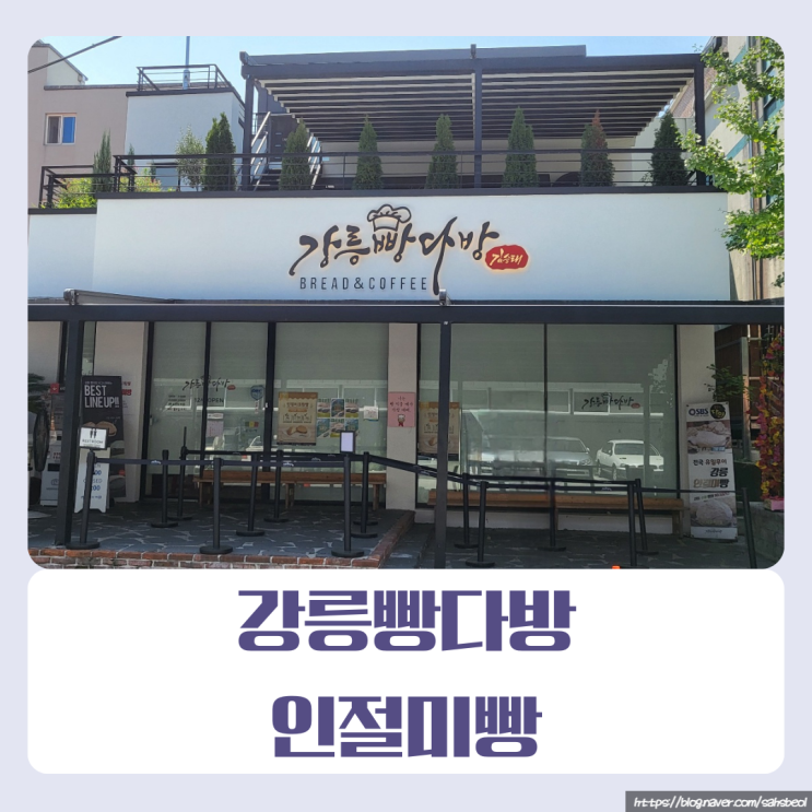  [강원도/강릉]강릉빵다방 인절미크림빵 오픈런 후기