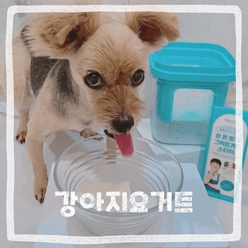  강아지 그릭요거트 수제간식 만들기 상온발효 요거트유산균으로 간편하게