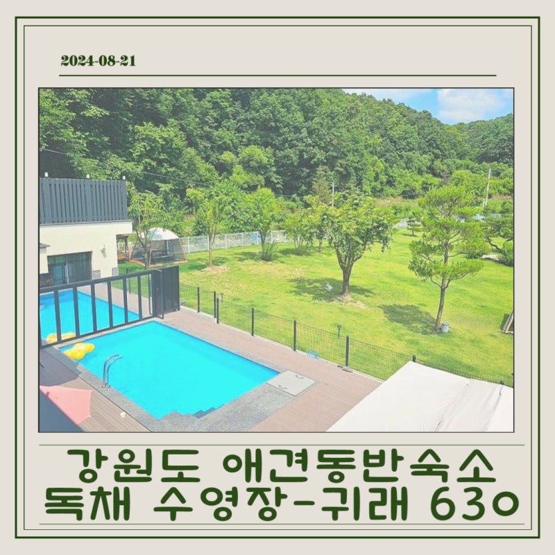 사진 13
