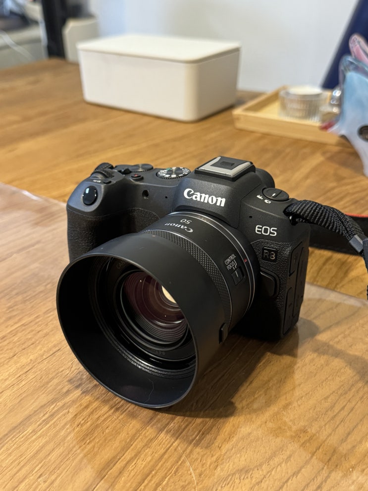  캐논 EOS R8, 그래서 왜 샀냐고?