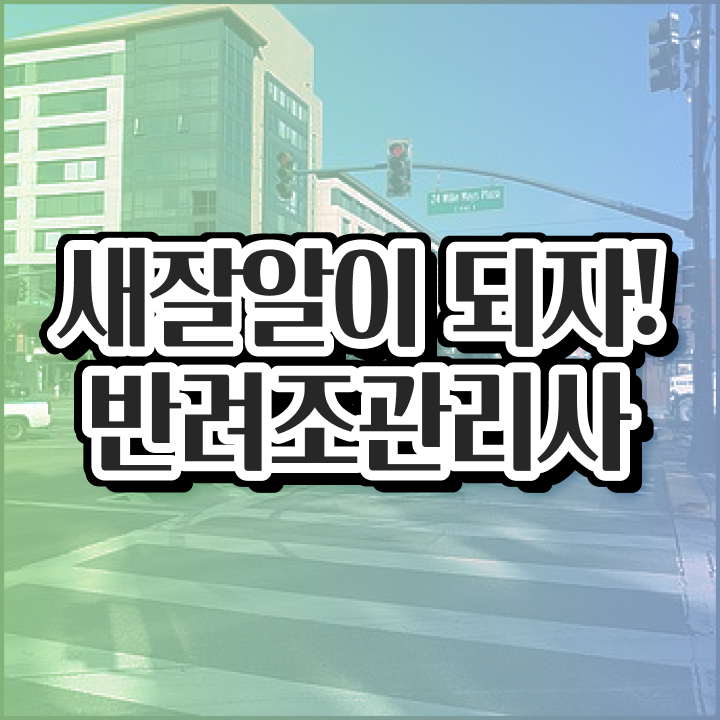  사랑 앵무새 , 반려조관리사 자격증 15일 만에 준비한 과정 , 채용 정보