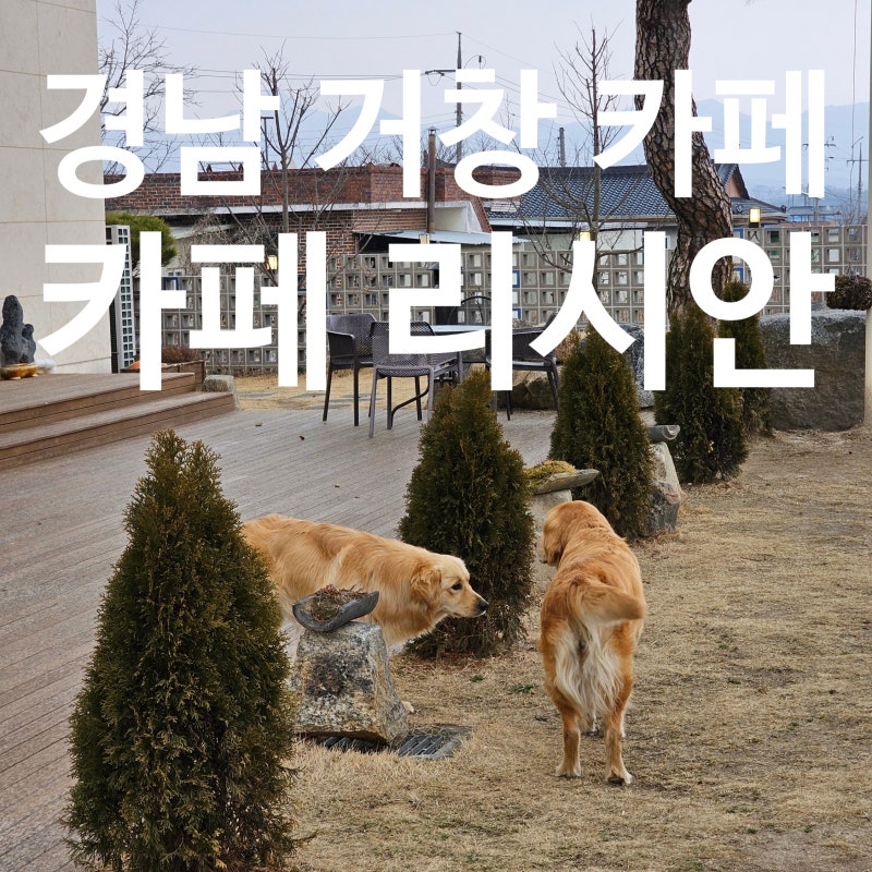 사진 8