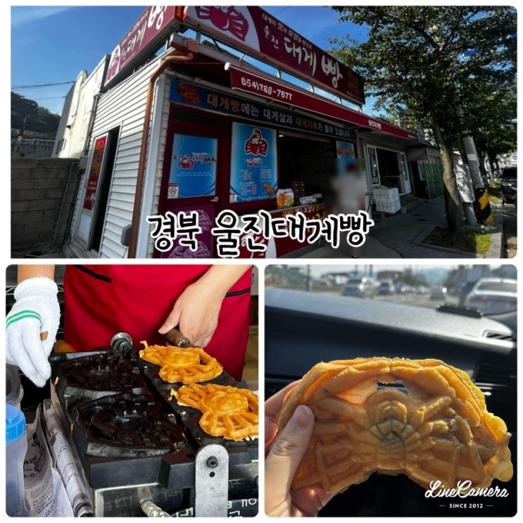  "울진대게빵" 대게의 모양, 맛을 담은 경북울진간식